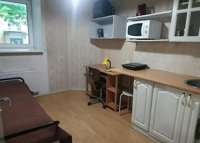 Economy Baltics Apartments - Uue Maailma 19